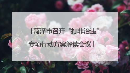 菏泽市召开“打非治违”专项行动方案解读会议
