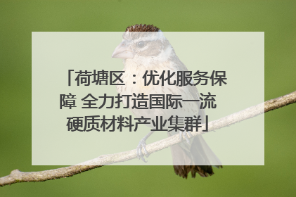 荷塘区：优化服务保障 全力打造国际一流硬质材料产业集群