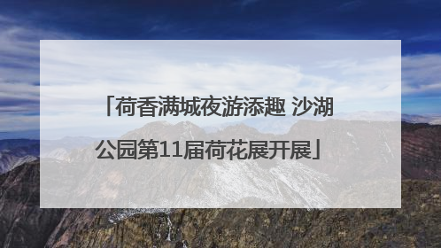 荷香满城夜游添趣 沙湖公园第11届荷花展开展