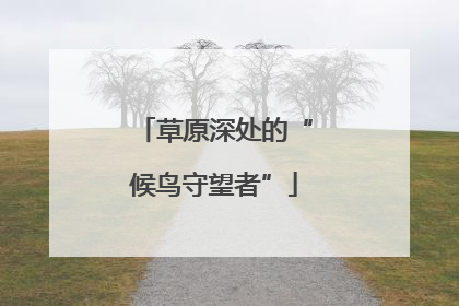 草原深处的“候鸟守望者”