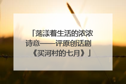 荡漾着生活的浓浓诗意——评原创话剧《买河村的七月》