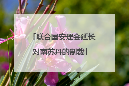 联合国安理会延长对南苏丹的制裁
