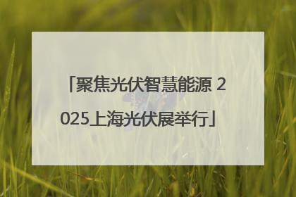 聚焦光伏智慧能源 2025上海光伏展举行