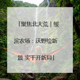 聚焦北大荒｜绥滨农场：沃野绘新景 实干开新局