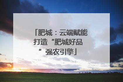 肥城：云端赋能 打造“肥城好品”强农引擎