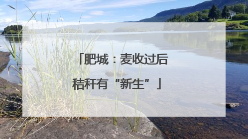 肥城：麦收过后秸秆有“新生”