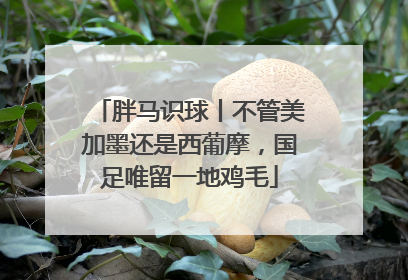胖马识球丨不管美加墨还是西葡摩，国足唯留一地鸡毛