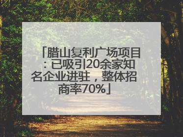 腊山复利广场项目：已吸引20余家知名企业进驻，整体招商率70%