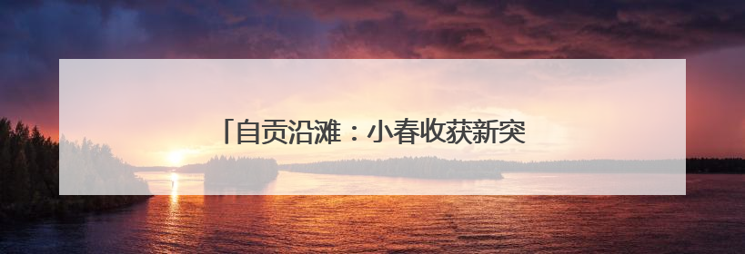自贡沿滩：小春收获新突破 总产量近3.5万吨
