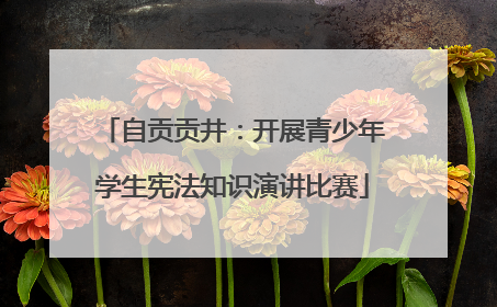 自贡贡井：开展青少年学生宪法知识演讲比赛