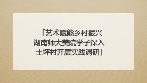 艺术赋能乡村振兴 湖南师大美院学子深入土坪村开展实践调研