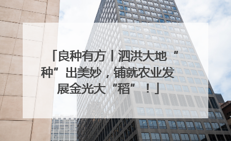 良种有方丨泗洪大地“种”出美妙，铺就农业发展金光大“稻”！