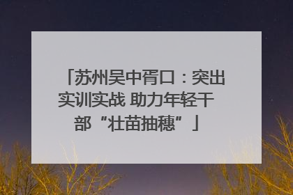 苏州吴中胥口：突出实训实战 助力年轻干部“壮苗抽穗”