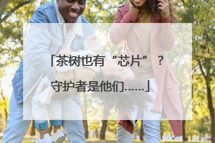 茶树也有“芯片”？守护者是他们……