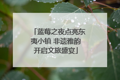 蓝莓之夜点亮东夷小镇 非遗雅韵开启文旅盛宴