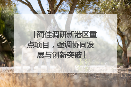 蔺佳调研新港区重点项目，强调协同发展与创新突破