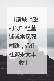 诸城“整村制”经营铺就富民强村路，合作社迎来大丰收