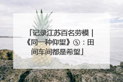 记录江苏百名劳模｜《同一种仰望》⑤：田间车间都是希望