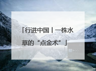 行进中国丨一株水草的“点金术”