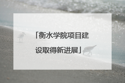 衡水学院项目建设取得新进展