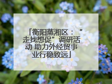 衡阳蒸湘区：“走找想促”调研活动 助力外经贸事业行稳致远