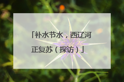补水节水，西辽河正复苏（探访）
