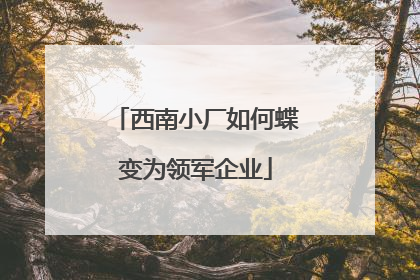 西南小厂如何蝶变为领军企业