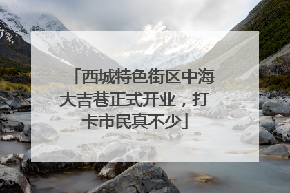 西城特色街区中海大吉巷正式开业，打卡市民真不少