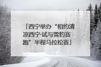 西宁举办“相约清凉西宁·试与雪豹赛跑”半程马拉松赛