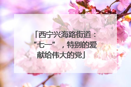 西宁兴海路街道：“七一”，特别的爱献给伟大的党