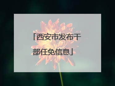 西安市发布干部任免信息