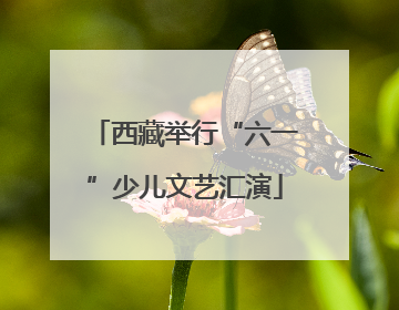 西藏举行“六一”少儿文艺汇演