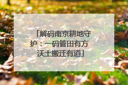 解码南京耕地守护：一码管田有方 沃土搬迁有道
