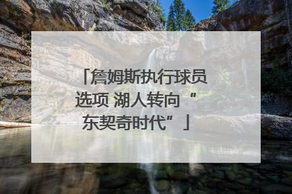 詹姆斯执行球员选项 湖人转向“东契奇时代”