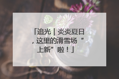 追光｜炎炎夏日，这里的滑雪场“上新”啦！