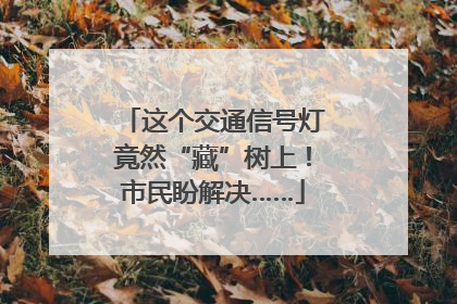 这个交通信号灯竟然“藏”树上！市民盼解决……
