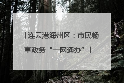 连云港海州区：市民畅享政务“一网通办”