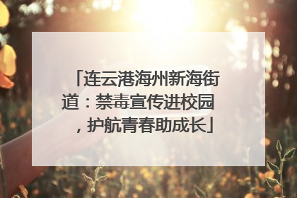 连云港海州新海街道：禁毒宣传进校园，护航青春助成长