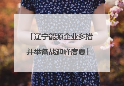 辽宁能源企业多措并举备战迎峰度夏