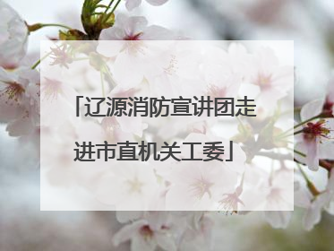 辽源消防宣讲团走进市直机关工委