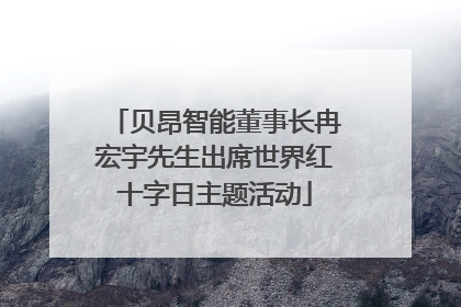 贝昂智能董事长冉宏宇先生出席世界红十字日主题活动