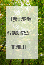 赞比亚举行活动纪念非洲日