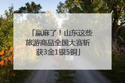 赢麻了！山东这些旅游商品全国大赛斩获3金1银5铜