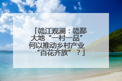 赣江观澜：赣鄱大地“一村一品”何以推动乡村产业“百花齐放”？