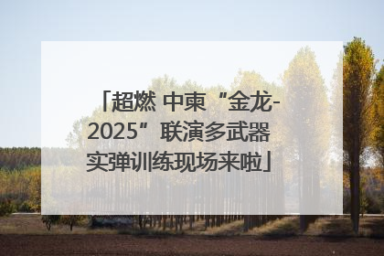 超燃 中柬“金龙-2025”联演多武器实弹训练现场来啦