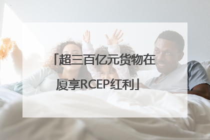 超三百亿元货物在厦享RCEP红利