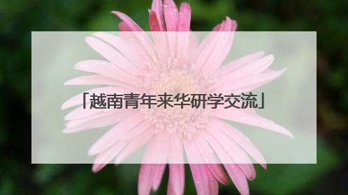越南青年来华研学交流