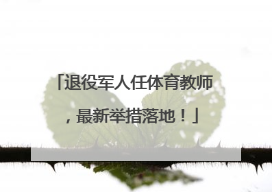 退役军人任体育教师，最新举措落地！