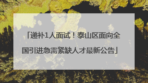 递补1人面试！泰山区面向全国引进急需紧缺人才最新公告