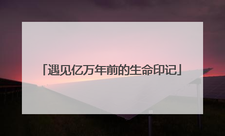 遇见亿万年前的生命印记